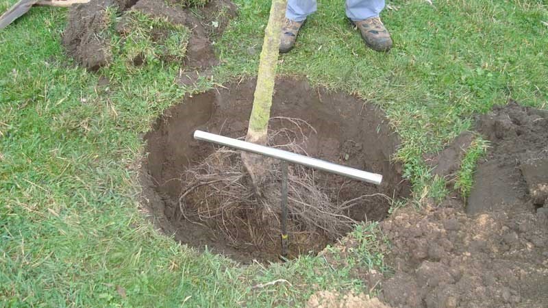 Breedte plantgat