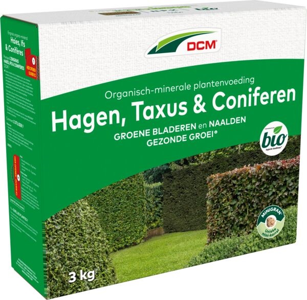 DCMHAGE_2