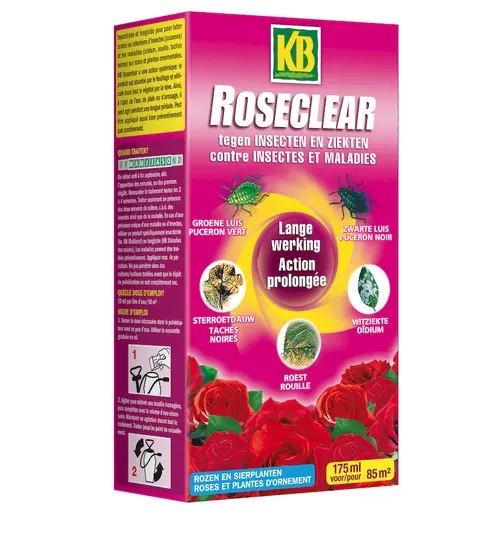 ROSECLE_2