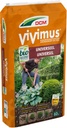 VIVIMUS_2