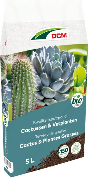 POCACTU_2