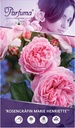 RORMHEN_2