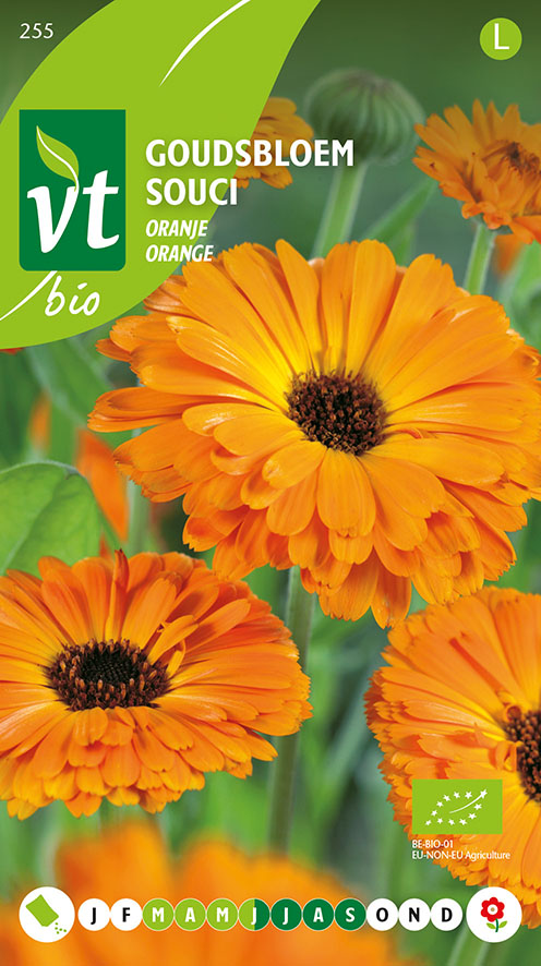 [00255] GOUDSBLOEM ORANJE BIO