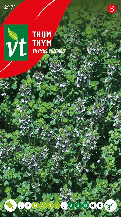 [002971] TIJM Thymus vulgaris