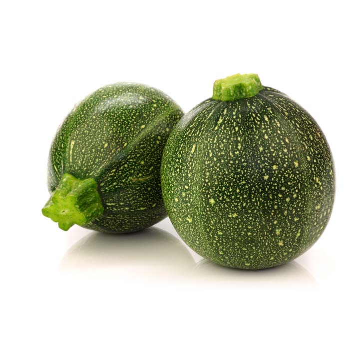 [CORDNIC] COURGETTE RONDE DE NICE