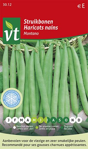 [003012] BONEN STRUIK MONTANO