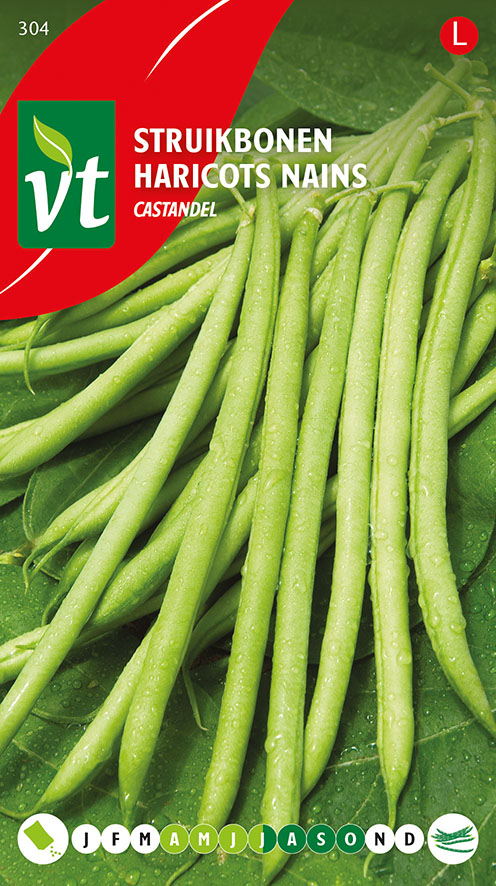 [00304] HARICOTS NAINS CASTANDEL