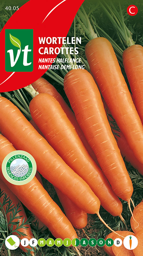 [004005] CAROTTES NANTAISES DEMI-LONGUES  AMELIOREES