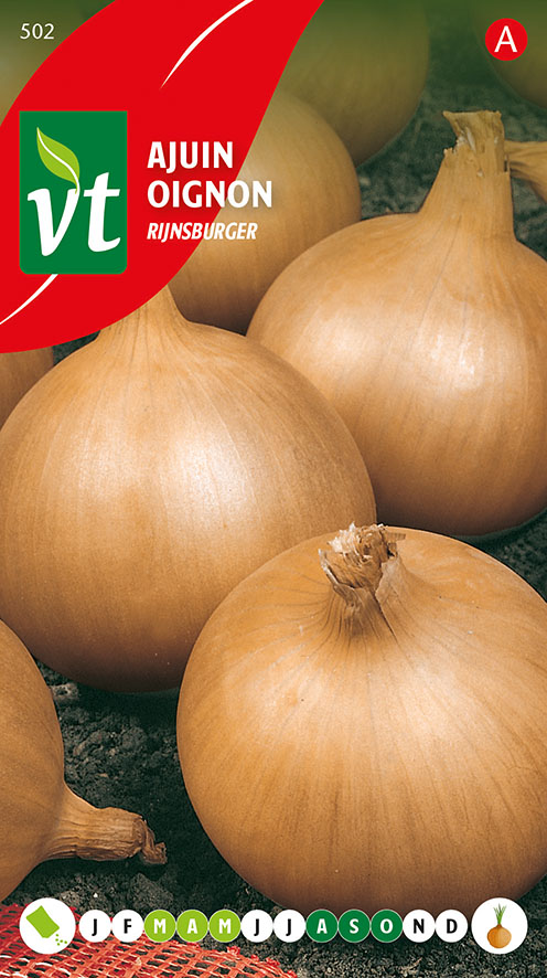 [00502] AJUIN RIJNSBURGER