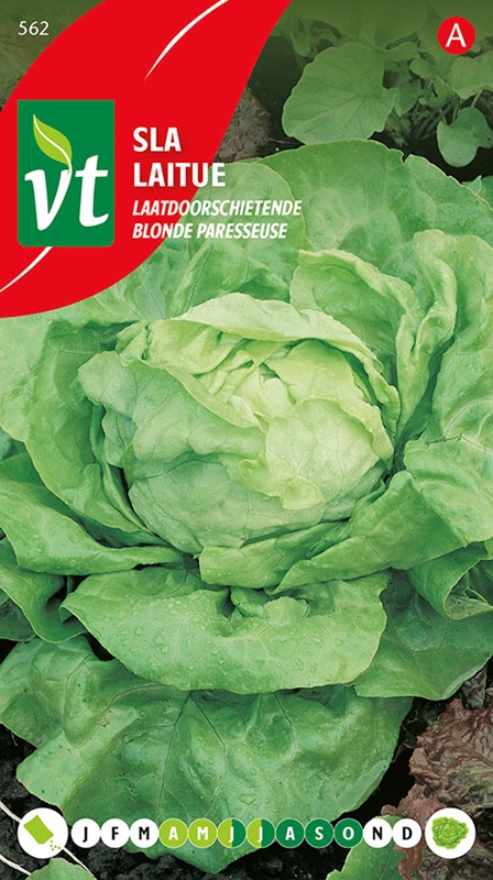 [00562] SLA LAATDOORSCHIETENDE