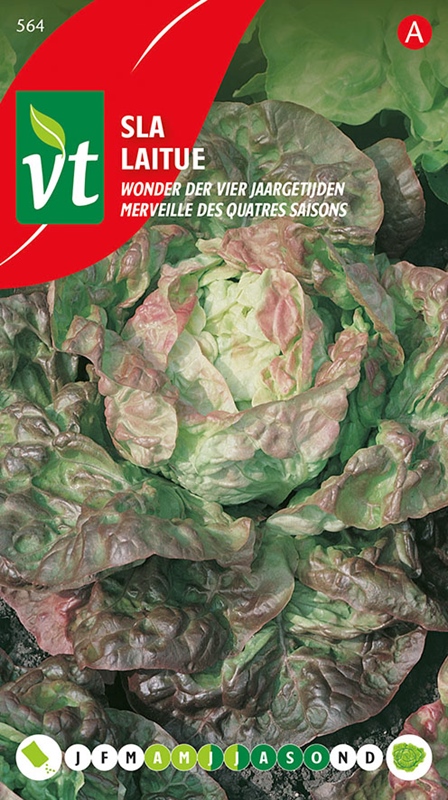 [00564] SLA WONDER DER VIER JAARGETIJDEN