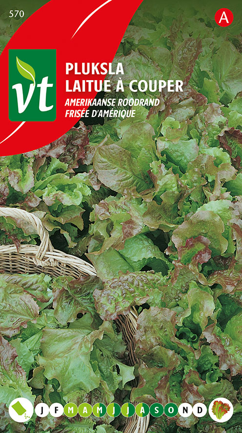 [00570] SLA PLUKSLA  AMERIKAANSE ROODRAND