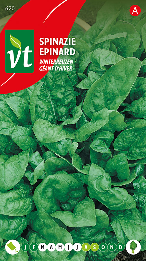[00620] SPINAZIE WINTERREUZEN