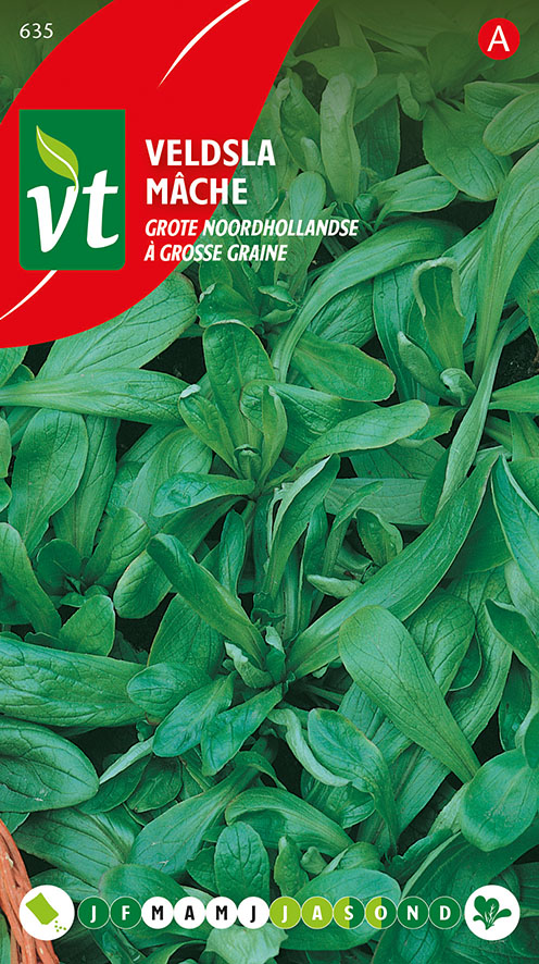 [00635] VELDSLA GROTE NOORDHOLLANDSE