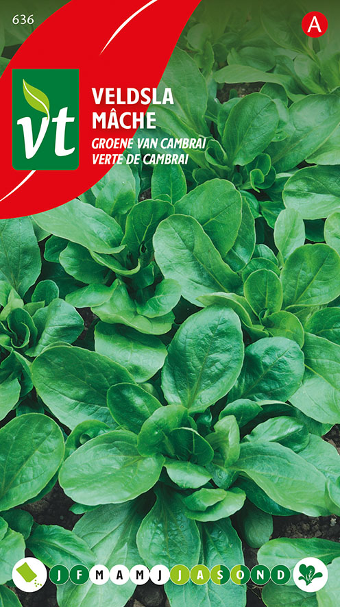 [00636] VELDSLA GROENE VAN CAMBRAI