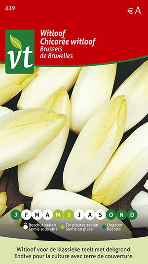[00639] WITLOOF BRUSSELS