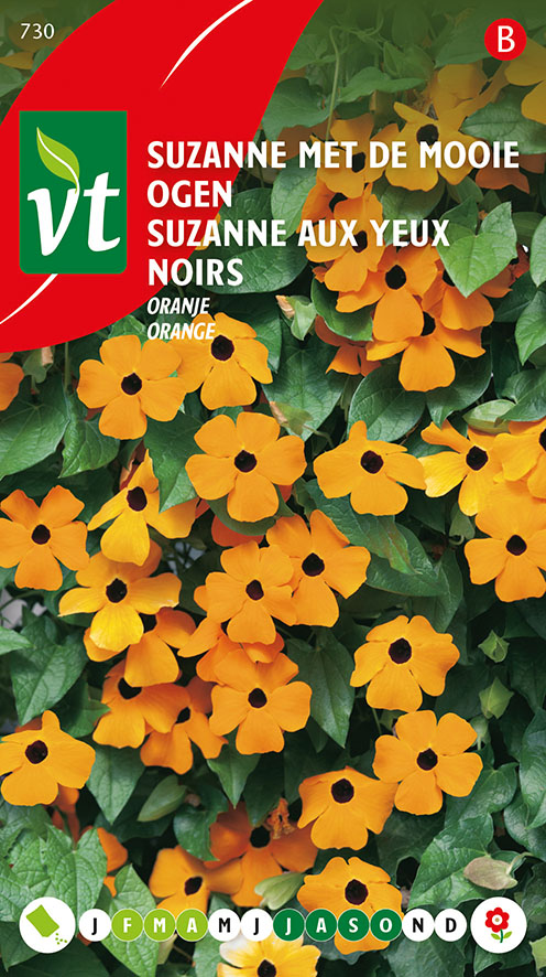 [00730] SUZANNE AUX YEUX NOIRS