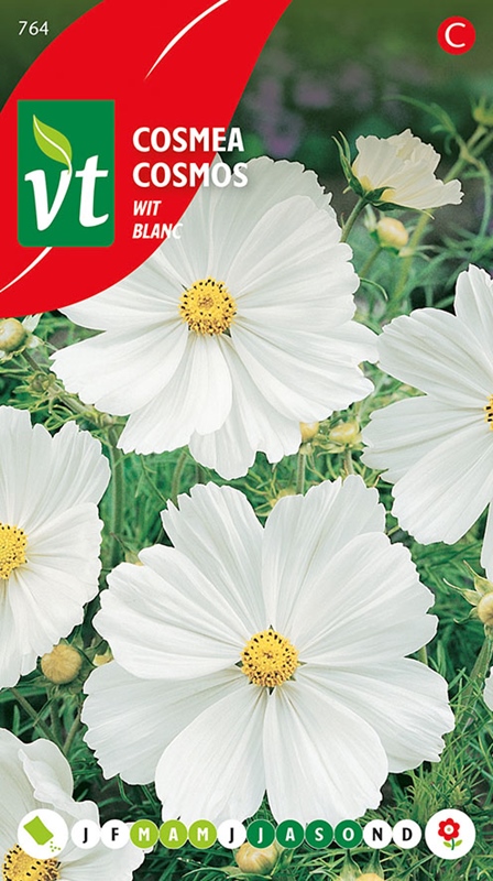 [00764] COSMEA WIT