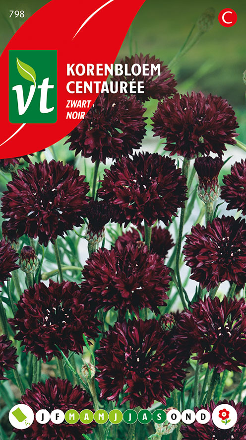 [00798] KORENBLOEM BLACK BALL