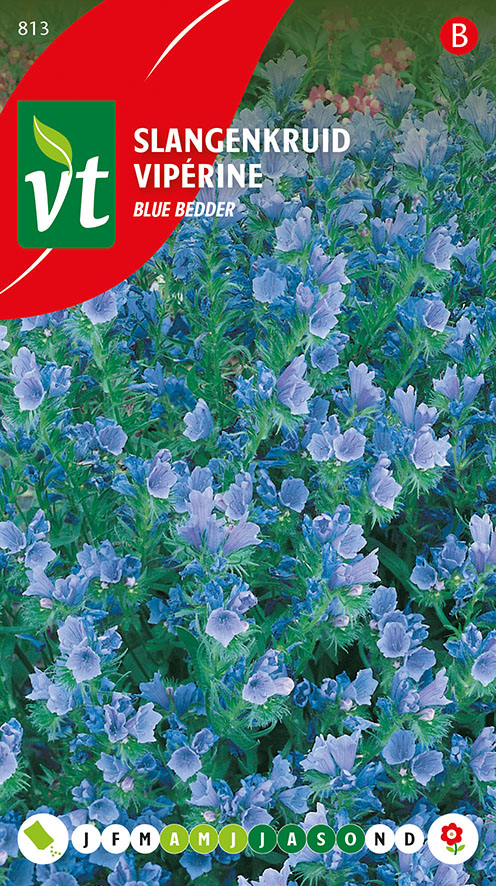 [00813] VIPERINE BLUE BEDDER