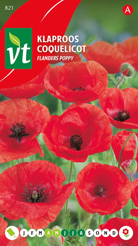 [00821] PAPAVER RODE KLAPROOS FLANDERS POPPY