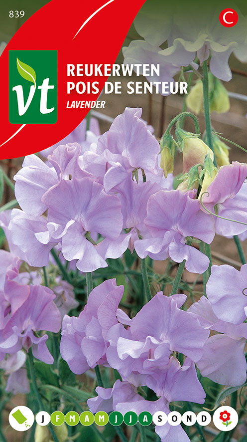 REUKERWTEN LAVENDEL