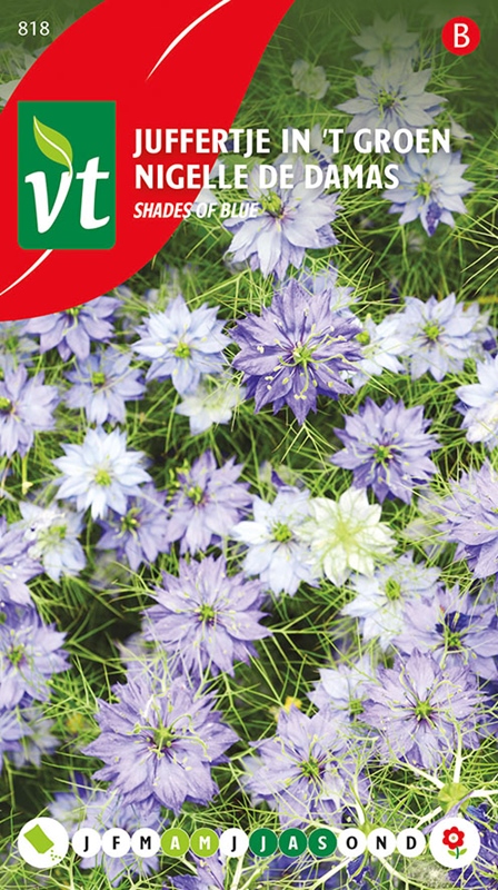JUFFERTJE IN 'T GROEN INDIGO LIGHT BLUE