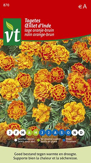 [00870] OEILLET D'INDE NAIN ORANGE BRUN