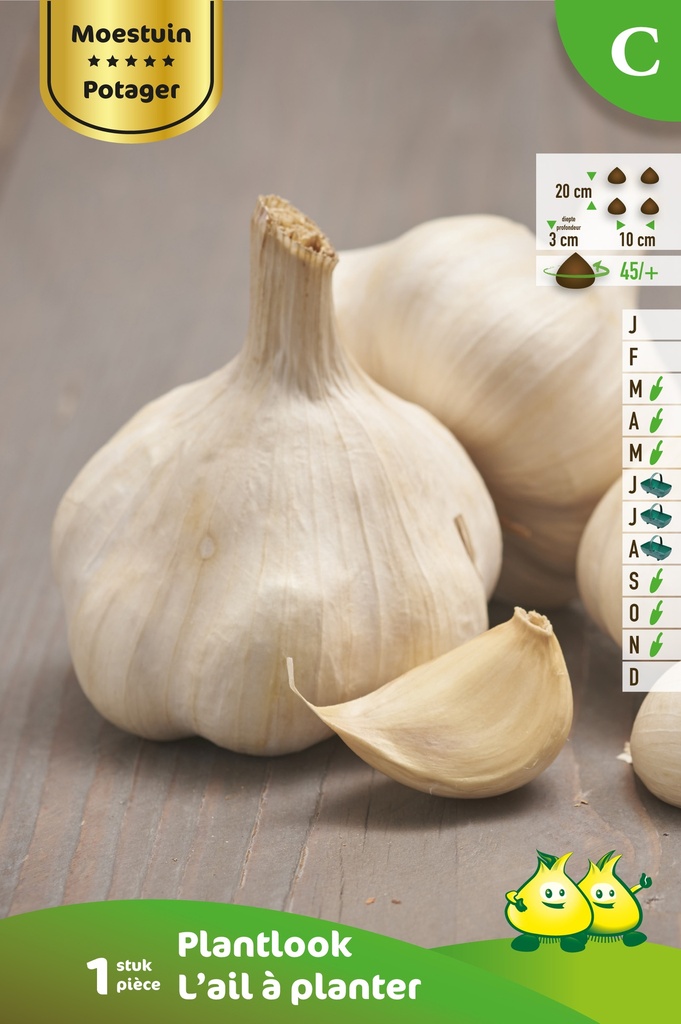 [LOPLANT] Look