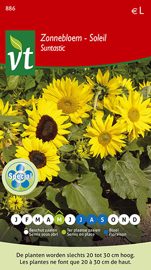 ZONNEBLOEM SUNTASTIC