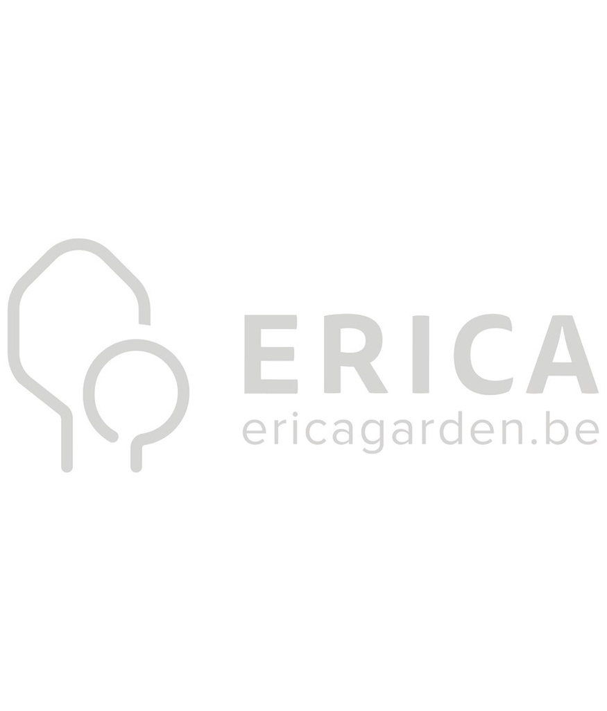 [MIXDRIJ] Mix drijfplanten