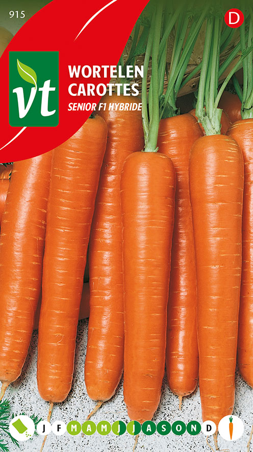 WORTELEN SENIOR F1 HYBRIDE