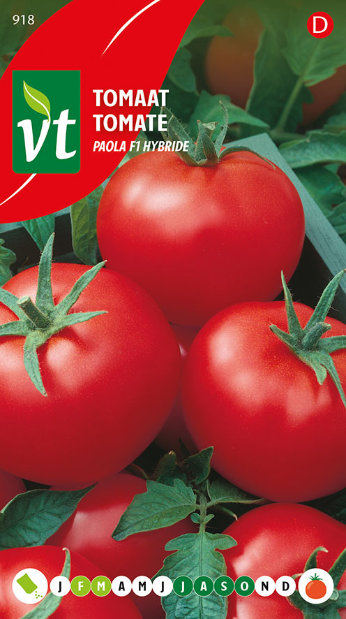 TOMATE PAOLA F1 HYBRIDE
