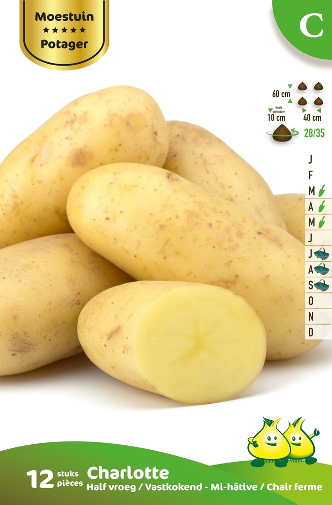 [PACHARL] Aardappel Charlotte
