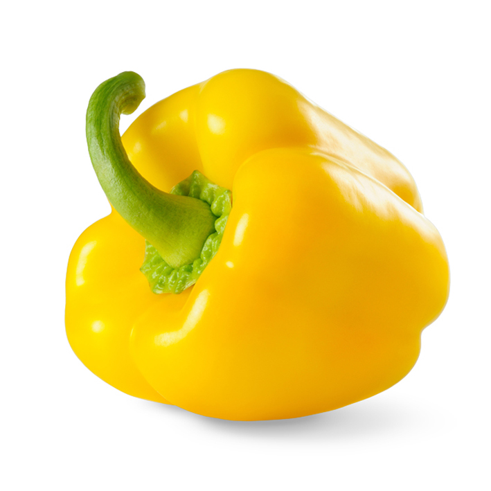 [PAGEEL] PAPRIKA GEEL (pot  10.5cm)