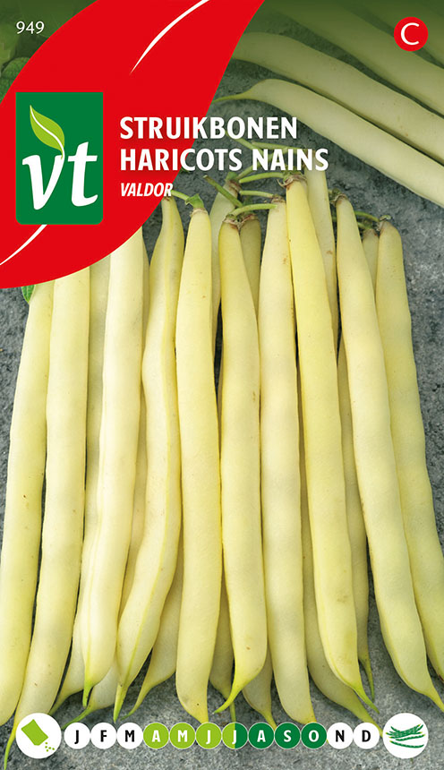 HARICOTS NAINS VALDOR