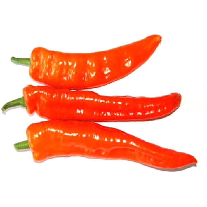 POIVRON POINTU ORANGE