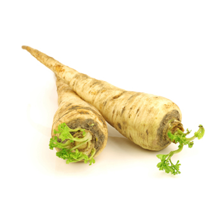 [PASATIV] PASTINAAK Pastinaca sativa (tray 6stuks)