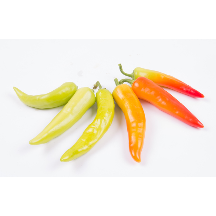 POIVRON MULTICOLOR SUCRÉ