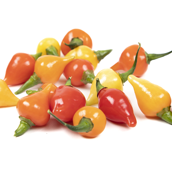 PEPER DRUPPEL