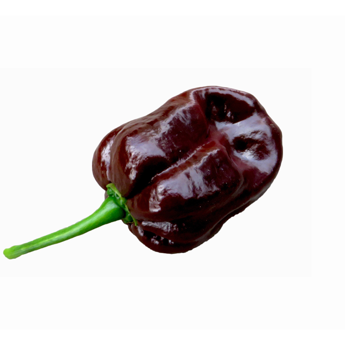 PEPER HABANERO HOT CHOCOLATE