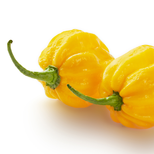 PIMENT HABANERO JAUNE