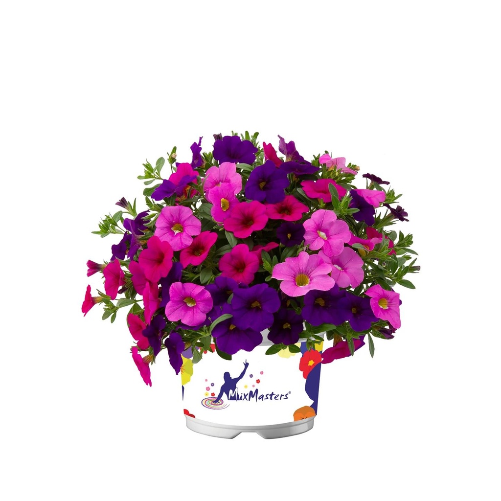 [PEMIXMASIP13] Mixmaster perkplanten