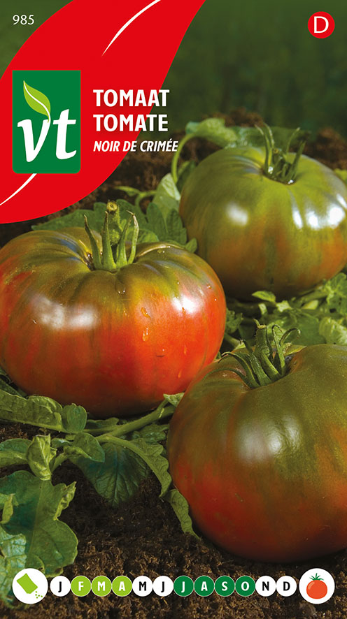 TOMATE NOIR DE CIMÉE