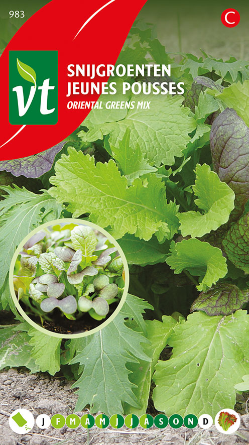 LAITUE JEUNES POUSSES ORIENTAL GREENS
