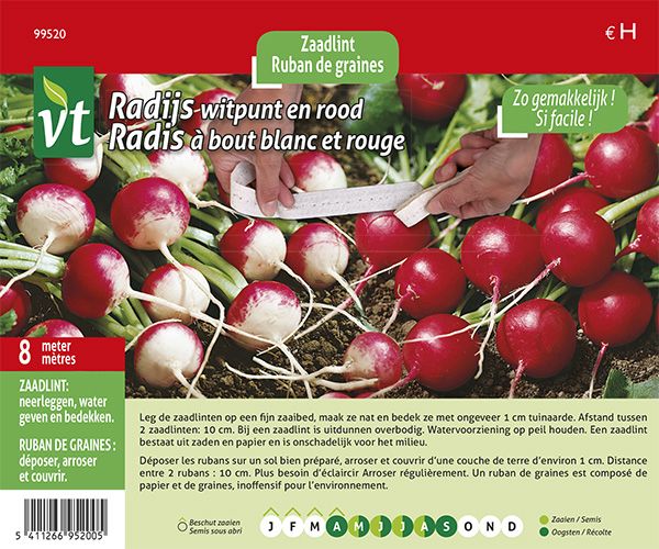 RADIJS WITPUNT EN ROOD
