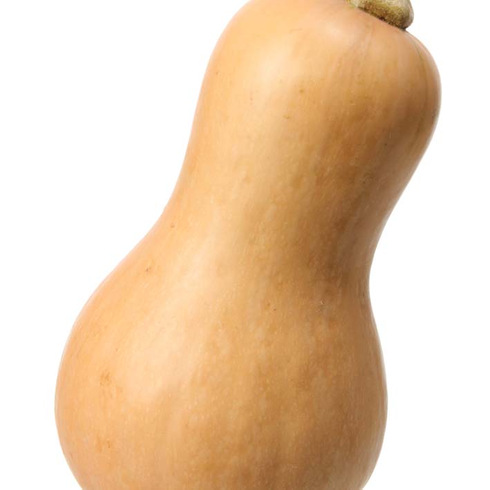 [POBUTTE] POTIRON BUTTERNUT (pot 10.5cm)