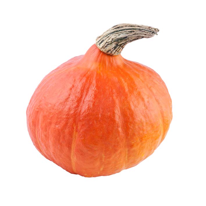 [PORKURI] POMPOEN RODE KLEINE RED KURI