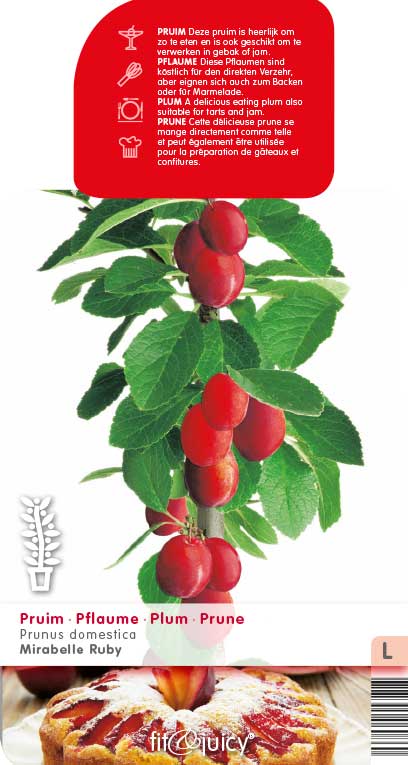 Pruim 'MIRABELLE RUBY'