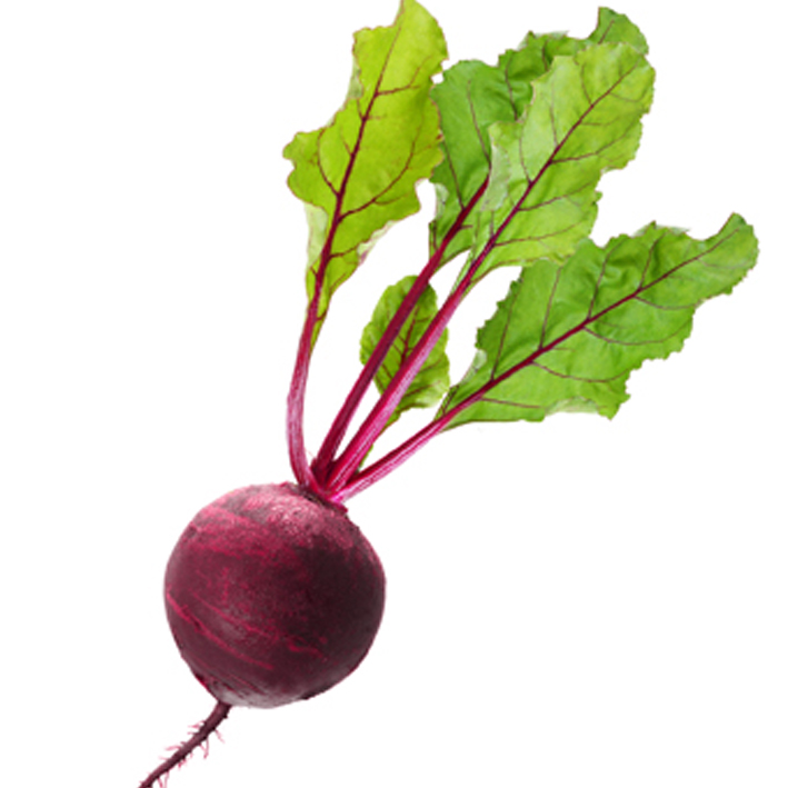 RODE BIET Beta vulgaris